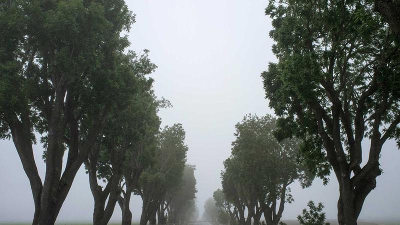 房地产传统获客模式困境